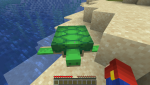 Schildkröte2.png