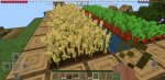 Minecraft_2019-12-11-20-05-10[1].jpg